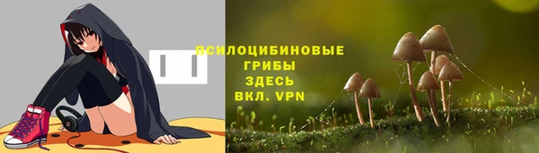 ешки Верея