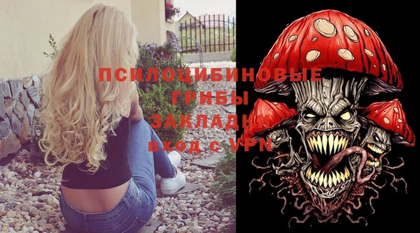 мдпв Шарыпово