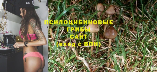 ешки Верея